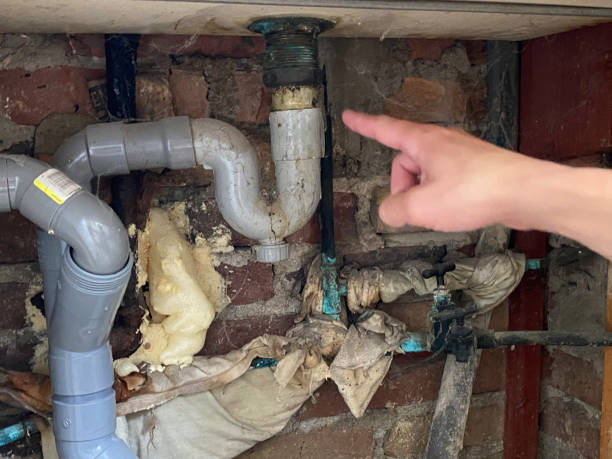 Best Structural Drying Services in USA